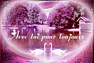 amour